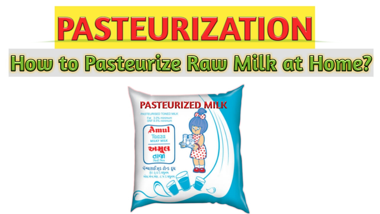 What Is Pasteurization
